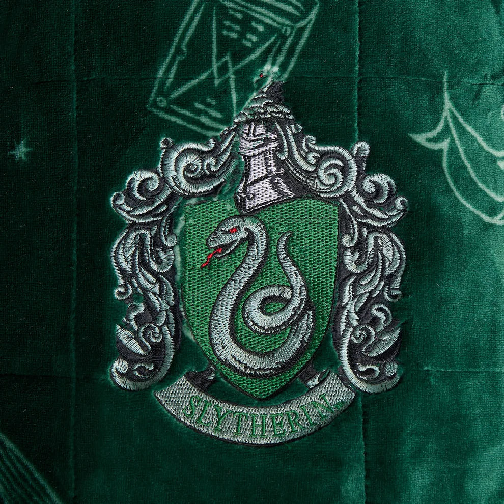 Harry Potter Slytherin